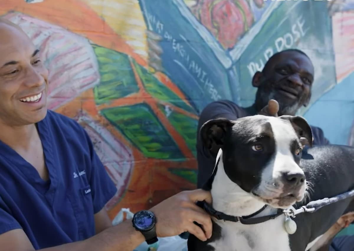 Vet Helps Homeless People By Treating Their Pets For Free - My Dog Tail